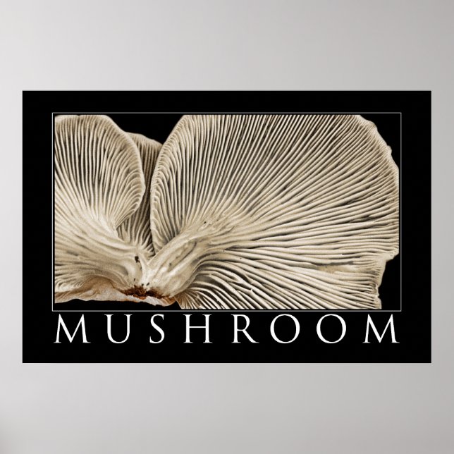Mushroom 2 poster (Framsidan)