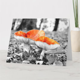 Mushroom Adelaide Backe Giant Art Card Kort