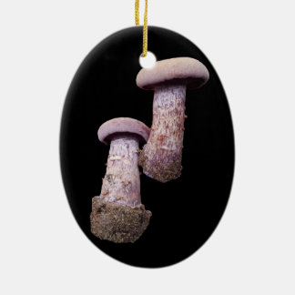 Mushroom älskare julgransprydnad keramik