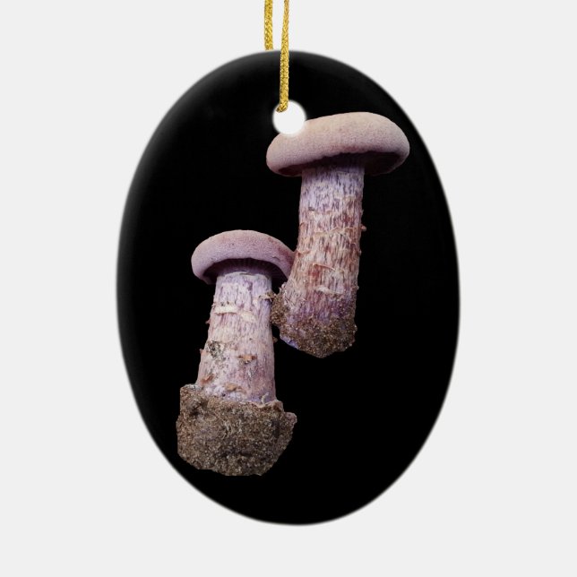 Mushroom älskare julgransprydnad keramik (Baksidan)