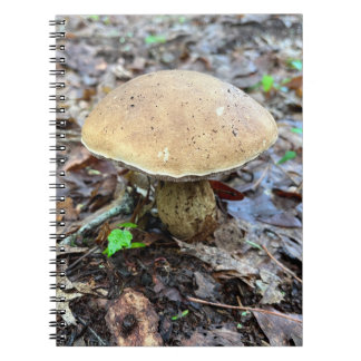 Mushroom bärbar dator anteckningsbok