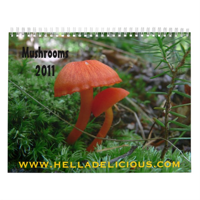 Mushroom Calendar Kalender (Omslag)