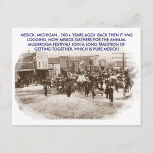 MUSHROOM CAPITAL, MESICK, MICHIGAN ~PROMO POSTCARD VYKORT