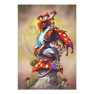Mushroom Dragon 13x19-utskrift Fototryck