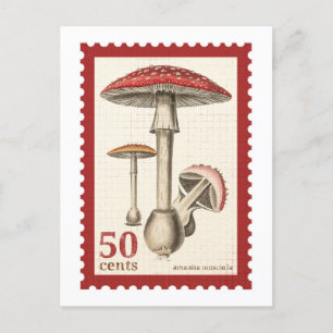 Mushroom Frimärke vykort