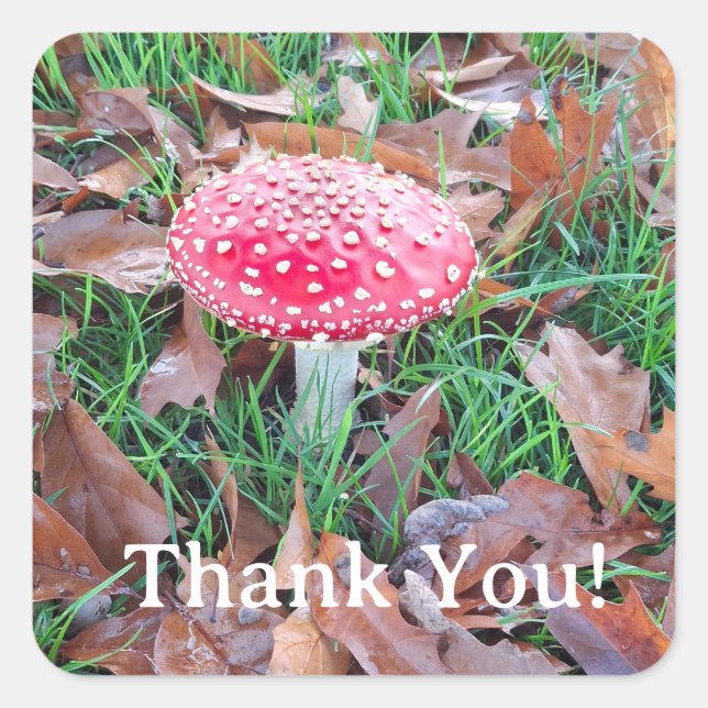 mushroom fyrkantigt klistermärke (Framsida)