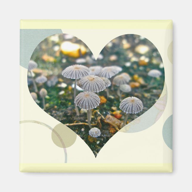 Mushroom Garden Heart Magnet (Framsidan)