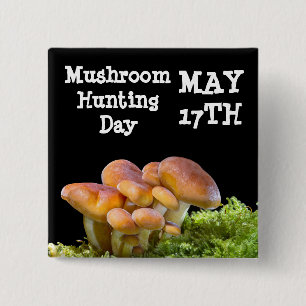 Mushroom Hunting Day 17 May Button Knapp