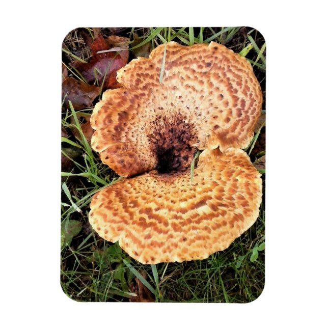 Mushroom in the Forest Magnet (Vertikal)