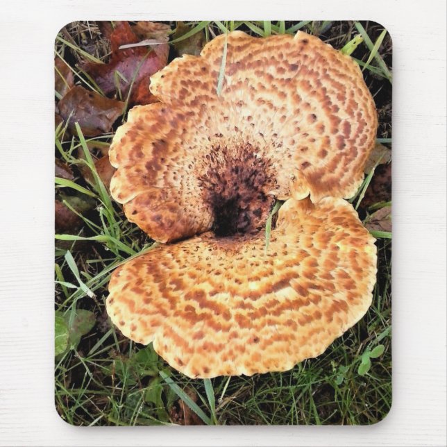 Mushroom in the Forest Musmatta (Framsidan)