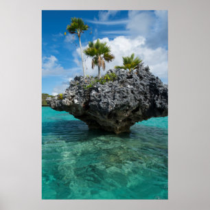 Mushroom Islets på Fiji Poster
