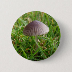 Mushroom-knapp Knapp