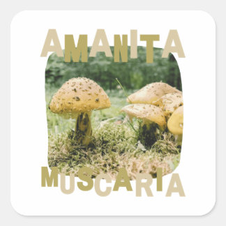 Mushroom lover, amanita muscaria, nature fyrkantigt klistermärke