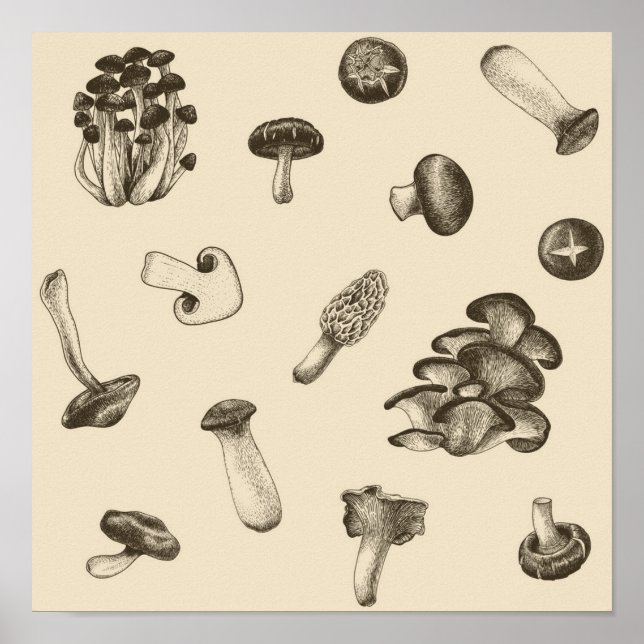Mushroom mönster poster (Framsidan)