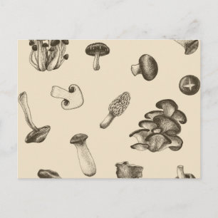 Mushroom mönster vykort