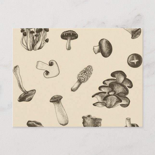 Mushroom mönster vykort (Framsida)