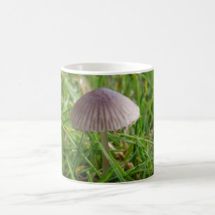 Mushroom Mugg