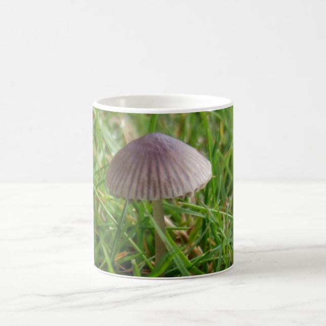 Mushroom Mugg (Center)