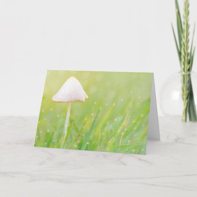 Mushroom Nature Birthday Kort (Framsida)