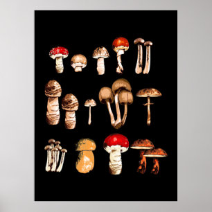 Mushroom Picker Life Poster
