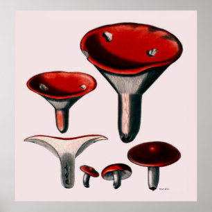Mushroom Poster serie först av åtta