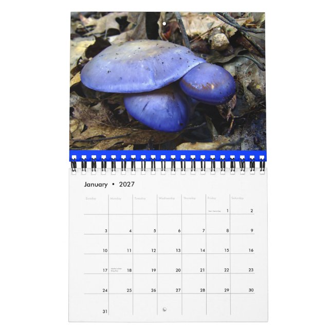 Mushroom Rainbow 2012-kalender Kalender (Jan 2027)