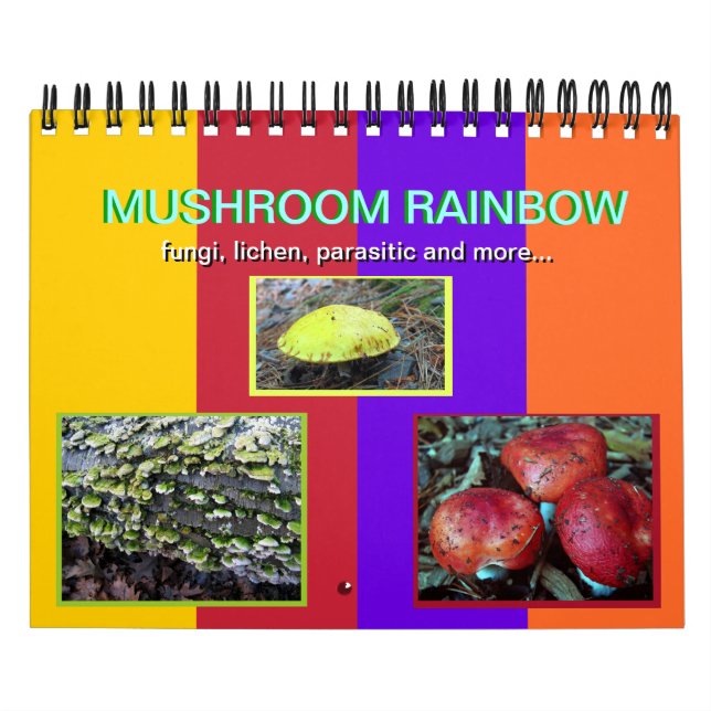 Mushroom Rainbow 2014-kalender Kalender (Omslag)