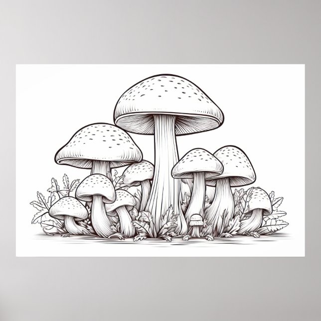 Mushroom sketch poster (Framsidan)