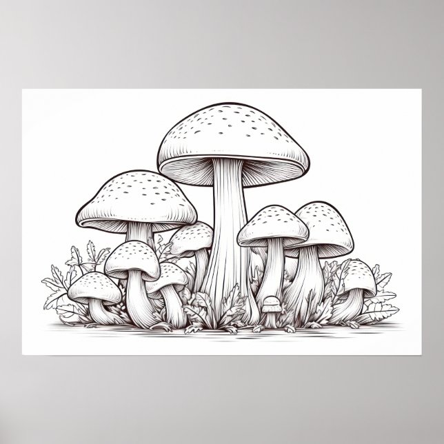 Mushroom sketch poster (Framsidan)