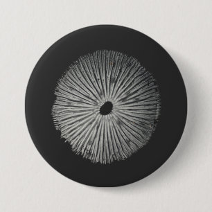 Mushroom spore knapp