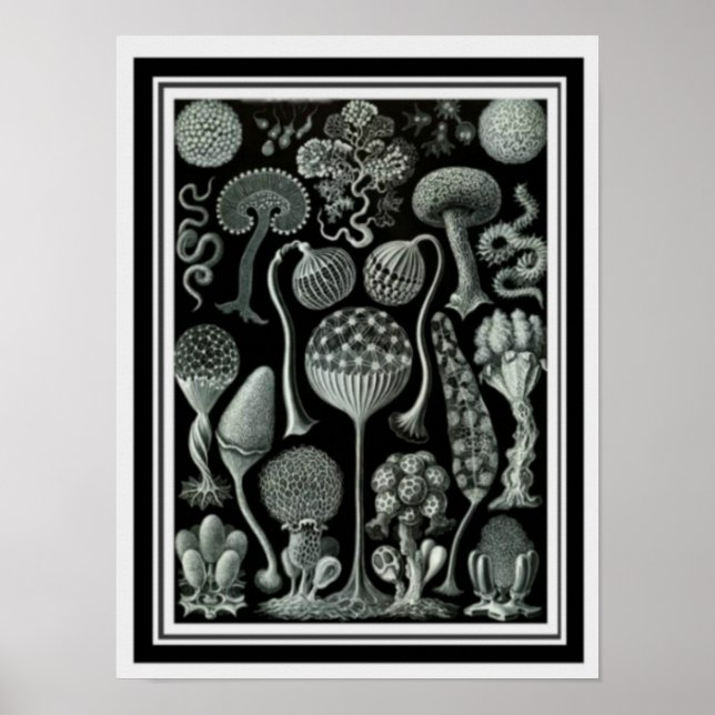 "Mushroom Spores" Poster 12 x 16 (Framsidan)