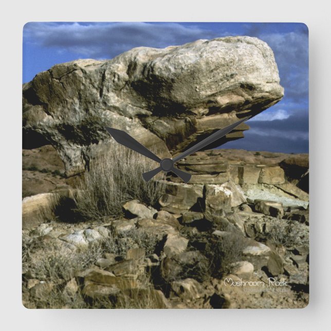 Mushroom Sten Fyrkantig Klocka (Framsida)