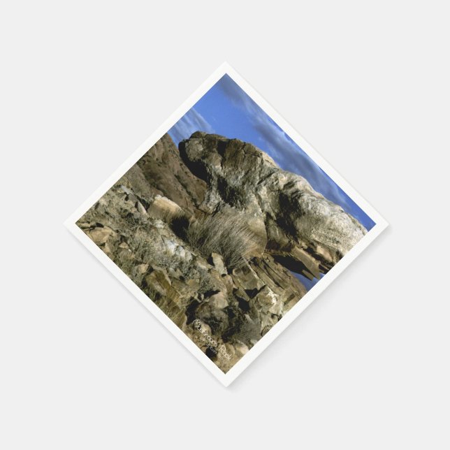 Mushroom Sten Pappersservett (Hörn)