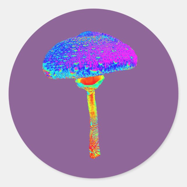 Mushroom Sticker Runt Klistermärke (Framsida)