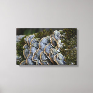 Mushroom Träd Photo Wrapped Canvas