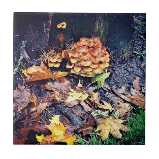 Mushroom Village Kakelplatta (Framsidan)