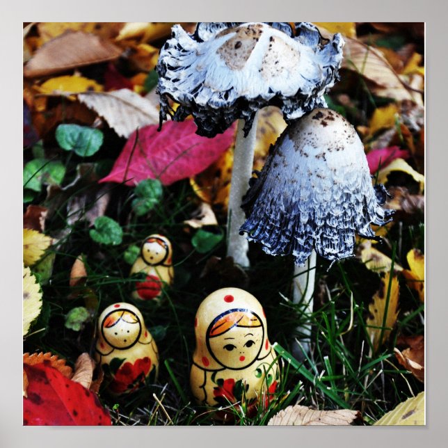 Mushroom voyage poster (Framsidan)