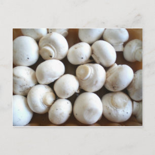 Mushroom Vykort