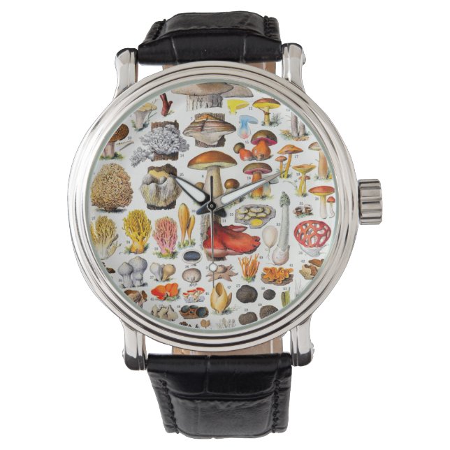 MUSHROOMER 2 ARMBANDSUR (Framsida)