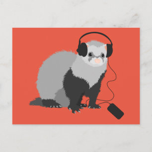 Music Älskare Ferret Vykort