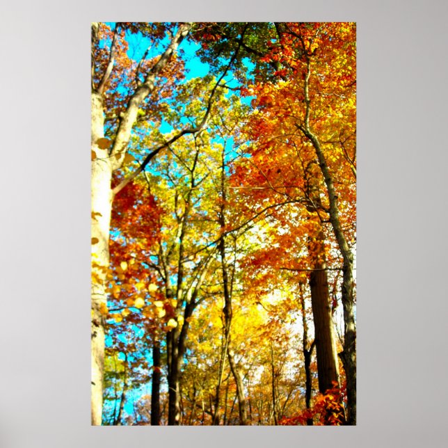 Music är Art Rainbows Poster (Framsidan)