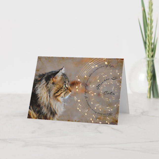 Music & Cats Card Kort (Framsida)