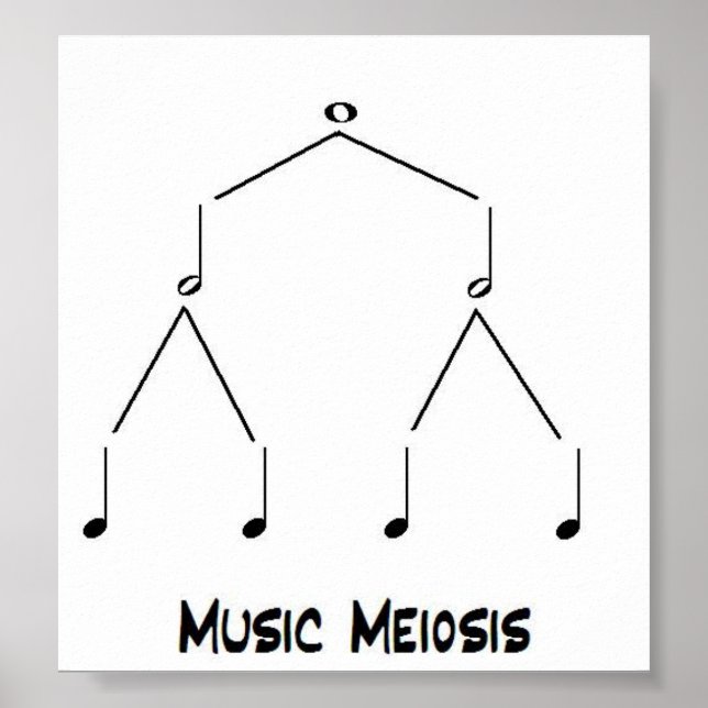 Music Meiosis Poster (Framsidan)