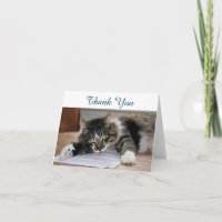 Musical Cat Tackkort Card