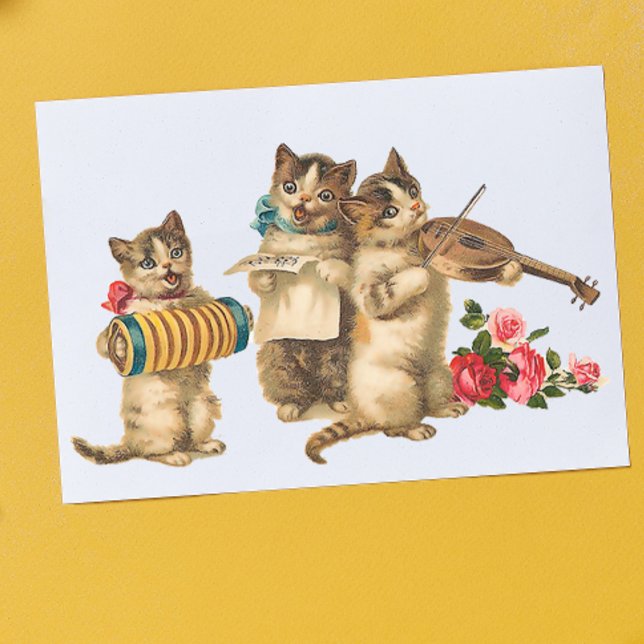 Musical Cats Poster (Skapare uppladdad)