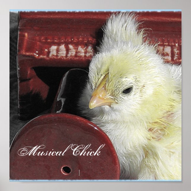 Musical Chick Poster (Framsidan)