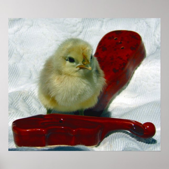 Musical Chick Poster (Framsidan)