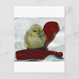 Musical Chick Vykort