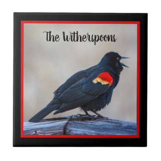 Musical Redwing Blackbird i en marsch Kakelplatta
