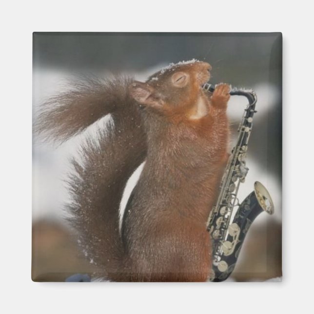 Musical Squirrel Magnet (Framsidan)